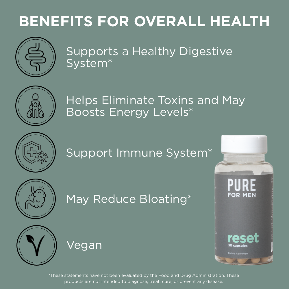 New You Bundle