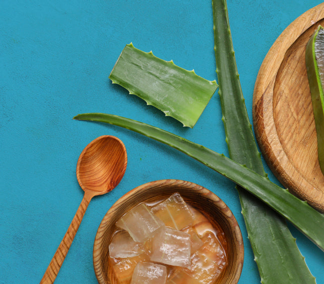 Aloe Vera