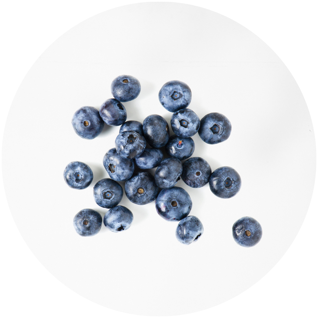 Bilberry Extract Ingredient Image