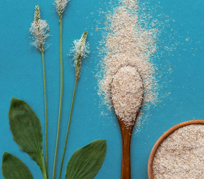 Psyllium Husk